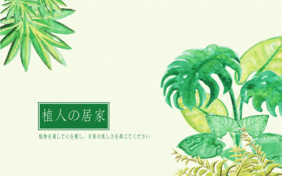專屬於你的居家植栽空間