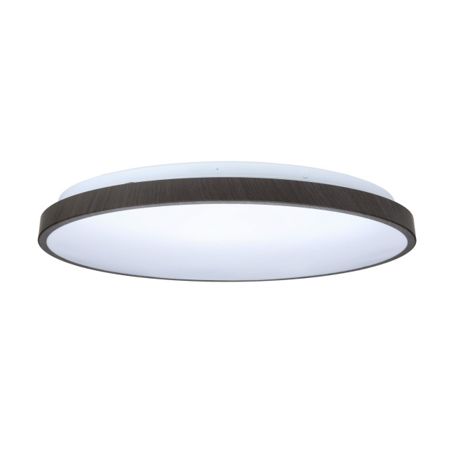 壯格 TRUNK LED 吸頂燈｜2.4G遙控調光調色款｜30W・50W・75W
