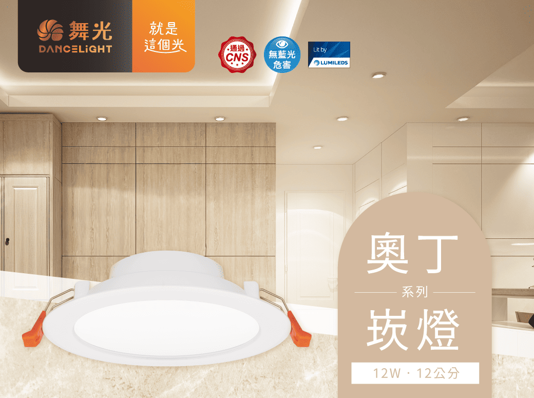 202510-12公分奧丁崁燈_首圖