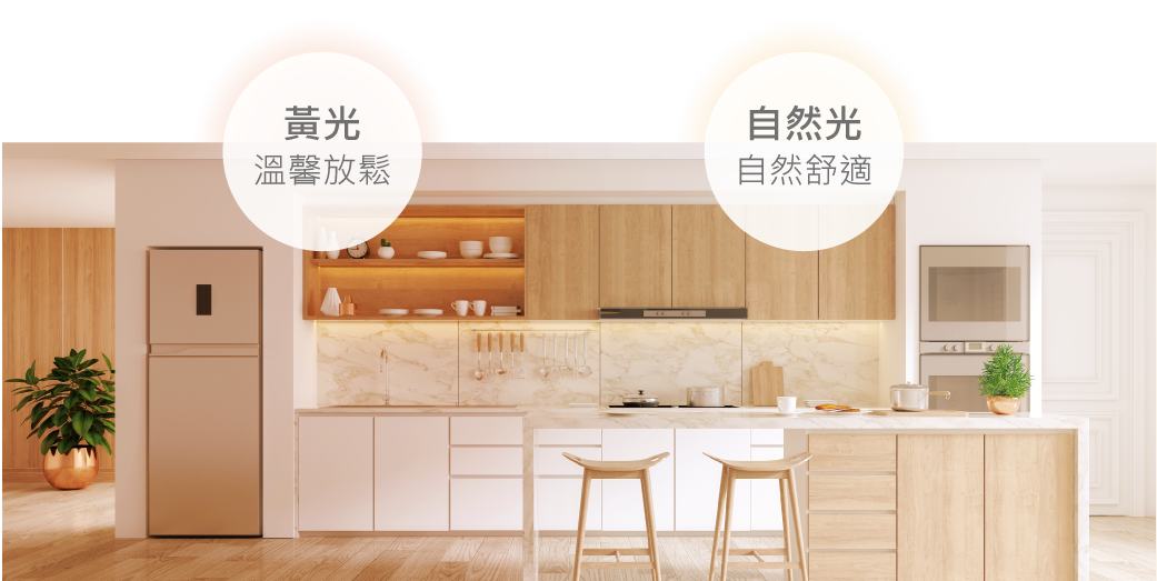 選擇適合場景的固定光色|達文西原廠圖