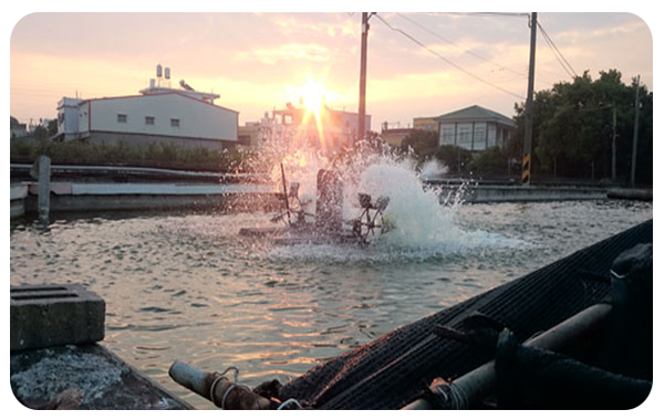 我在臺灣我們的故事