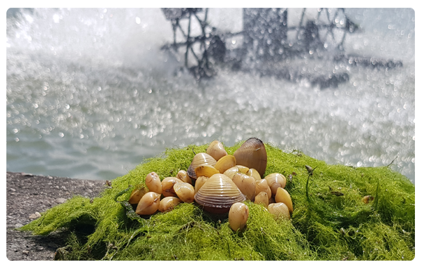 友善環境為臺灣這塊土地盡一份心力