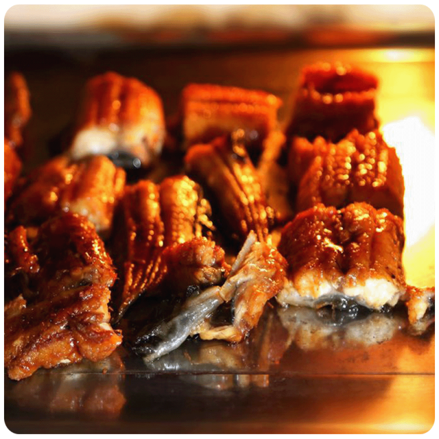 特小尾蒲燒鱸鰻