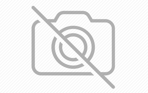 經濟日報專題報導